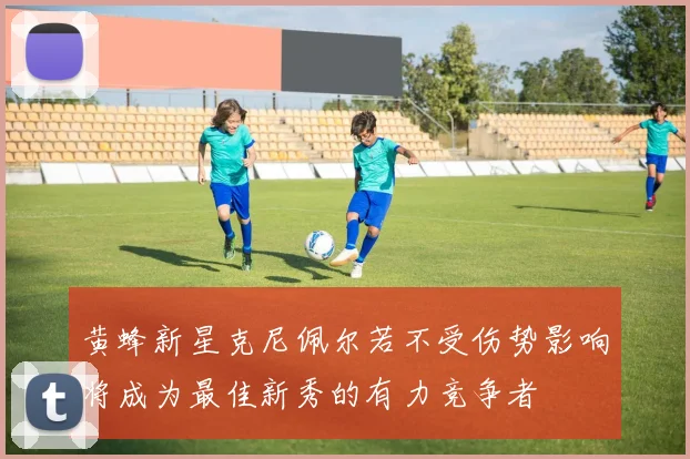 黄蜂新星克尼佩尔若不受伤势影响将成为最佳新秀的有力竞争者